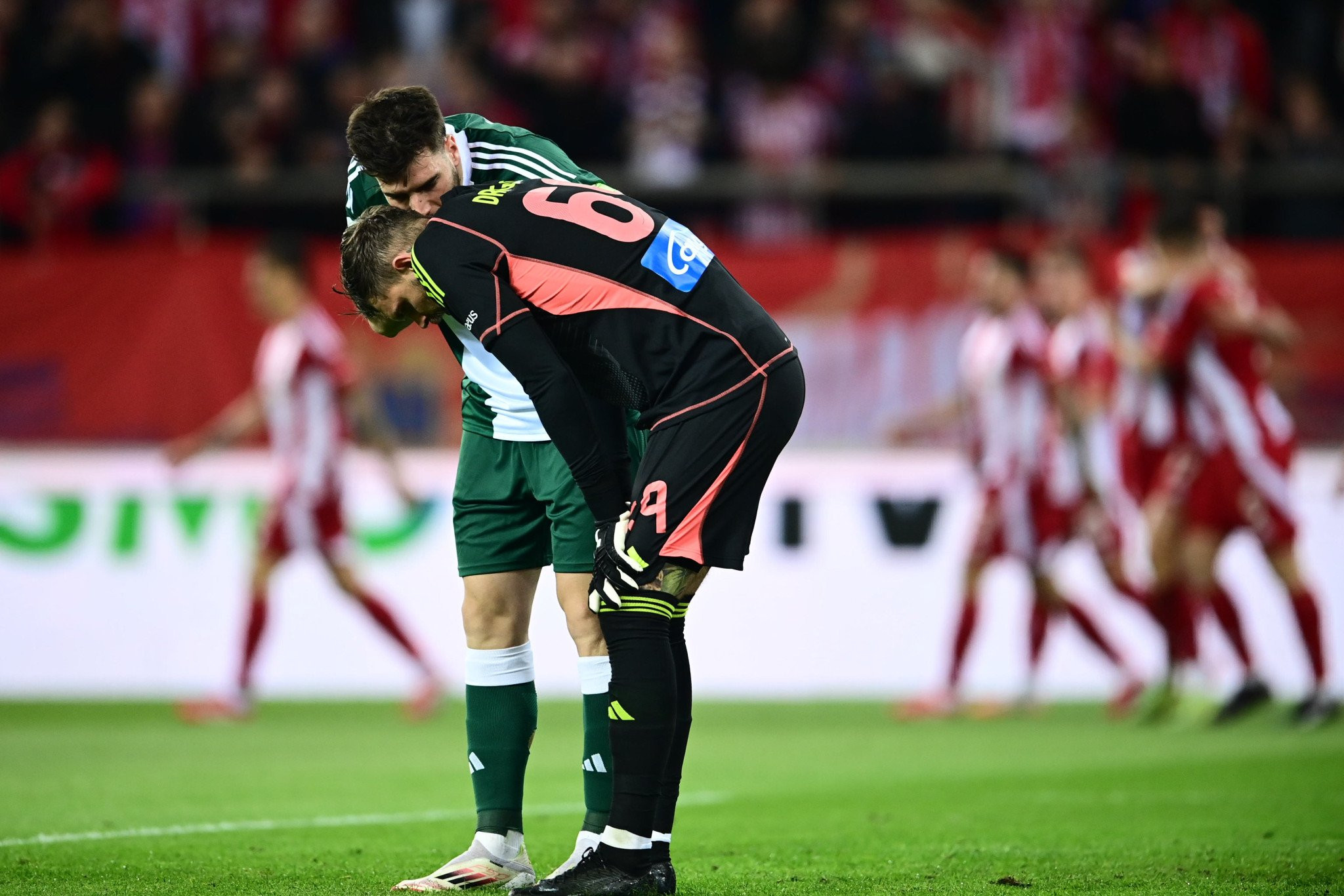 ntraghkofksi-6519195.jpg?v=0 ntraghkofksi-6519195.jpg?v=0