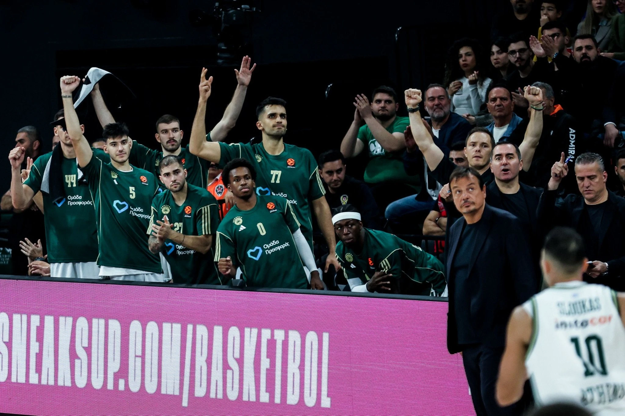 Ο Εργκίν Αταμάν και ο πάγκος του Παναθηναϊκού στον αγώνα με την Εφές / Πηγή: Eurokinissi Ο Εργκίν Αταμάν και ο πάγκος του Παναθηναϊκού στον αγώνα με την Εφές / Πηγή: Eurokinissi