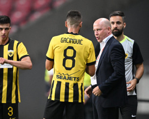 Καθηγητής Μάρκο Καθηγητής Μάρκο