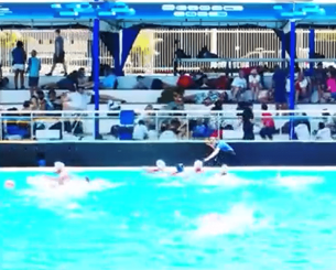 Σκηνές... far west: Αγώνας πόλο γυναικών διεκόπη λόγω πυροβολισμών! (video)