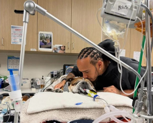 Δύσκολες ώρες για τον Χάμιλτον - Σε κώμα ο σκύλος του (photos)