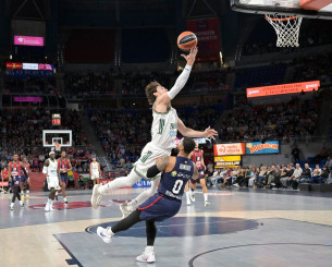 Η μύγα και η μέλισσα!