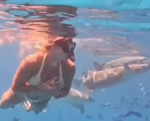 Μια... γοργόνα ανάμεσα σε καρχαρίες η Σαμπαλένκα (video)