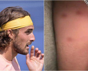 Ο σκύλος του Τσιτσιπά δάγκωσε περαστικό έξω από καφετέρια (video)