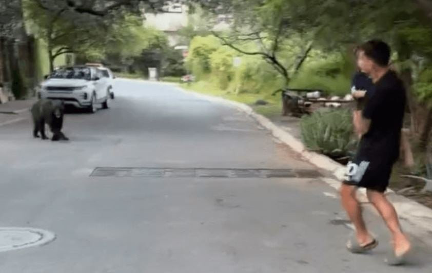 Αντιμέτωπος με... αρκούδα ο Κορέα - Σοκαριστικό βίντεο