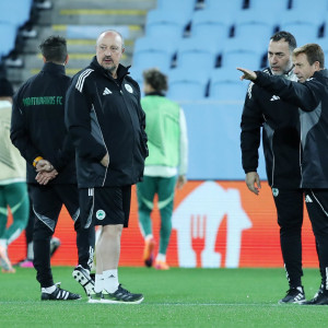 Ο Παναθηναϊκός ψάχνει στο Μάλμε «φάρμακο» για τις «πληγές» του - Το πλάνο της ενδεκάδας