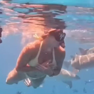 Μια... γοργόνα ανάμεσα σε καρχαρίες (video)