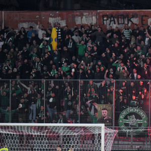 Οι οδηγίες του Μπενίτεθ, η πράσινη «λαοθάλασσα» και οι αντιδράσεις στα γκολ - Η παρακάμερα από τις Σέρρες