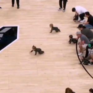Το είδαμε κι αυτό: Μωρά έκαναν... κούρσα σε παρκέ του NBA! (video)
