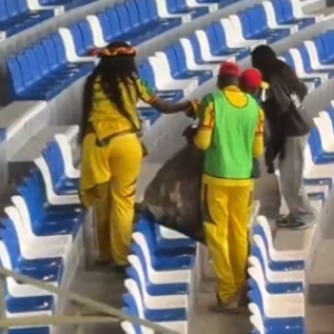 Σπουδαία κίνηση από τους φίλους της Σενεγάλης: Καθάρισαν την κερκίδα τους μετά τον αγώνα με το Κονγκό (video)