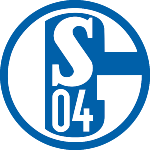 Σάλκε logo